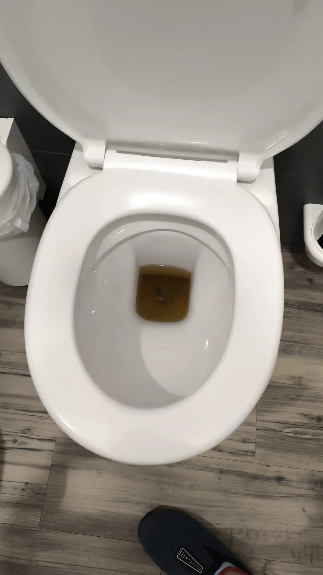 Toilette hygienisch gereinigt (vorher)